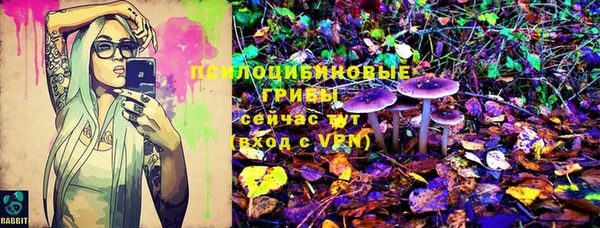 бошки Кукмор